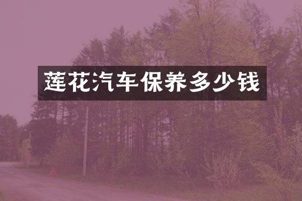 莲花汽车保养多少钱