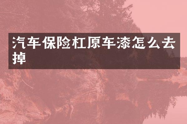 汽车保险杠原车漆怎么去掉
