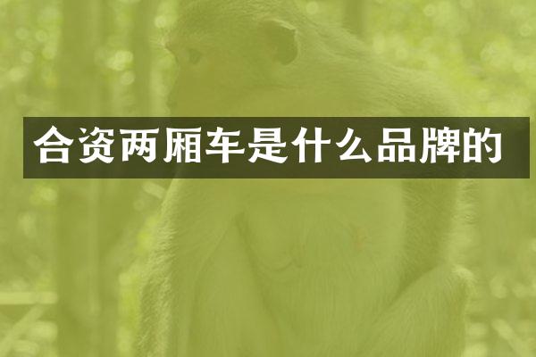 合资两厢车是什么品牌的