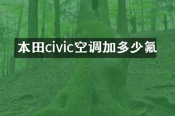 本田civic空调加多少氟