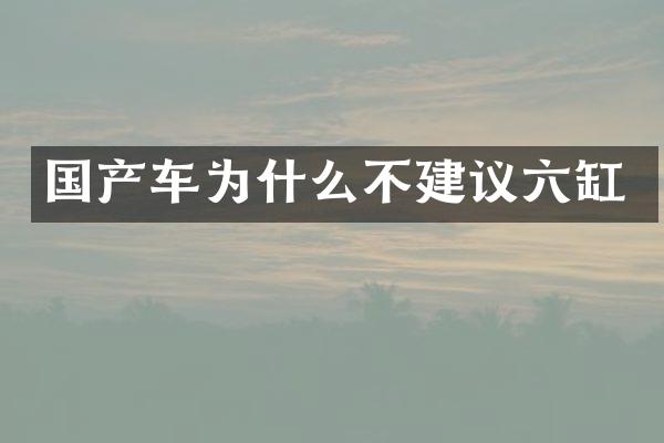 国产车为什么不建议六缸