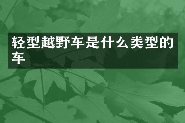 轻型越野车是什么类型的车