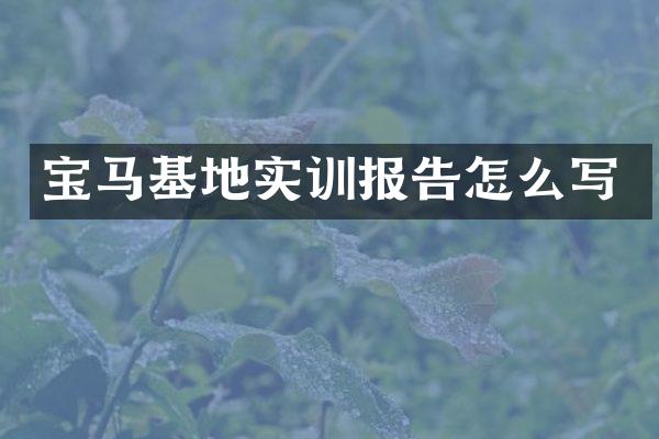 宝马基地实训报告怎么写