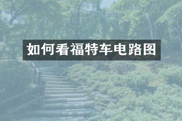 如何看福特车电路图