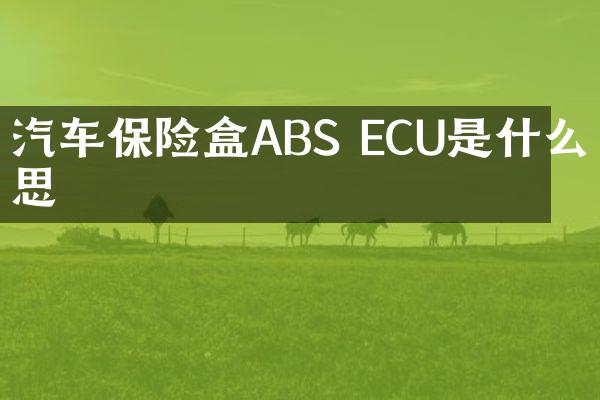 汽车保险盒ABS ECU是什么意思