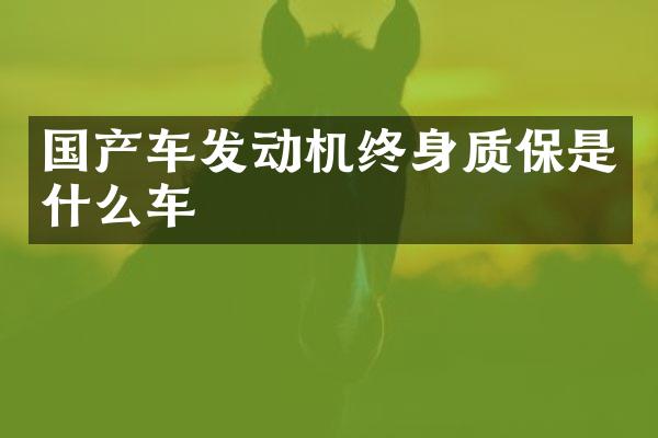 国产车发动机终身质保是什么车