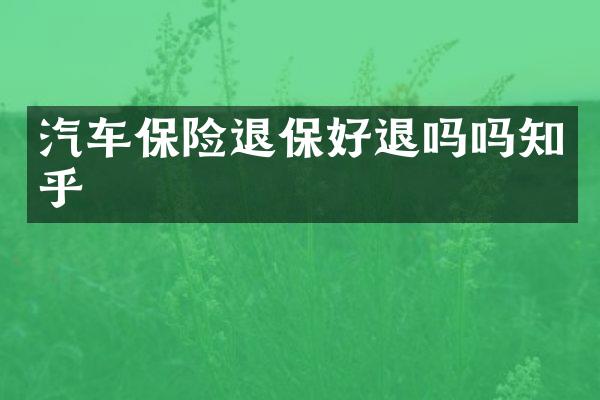 汽车保险退保好退吗吗知乎