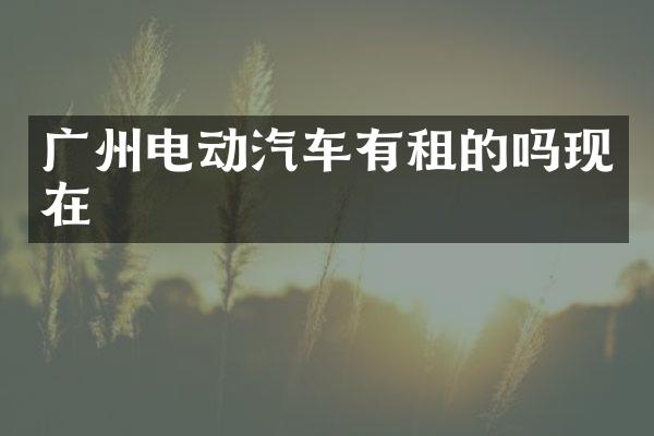 广州电动汽车有租的吗现在