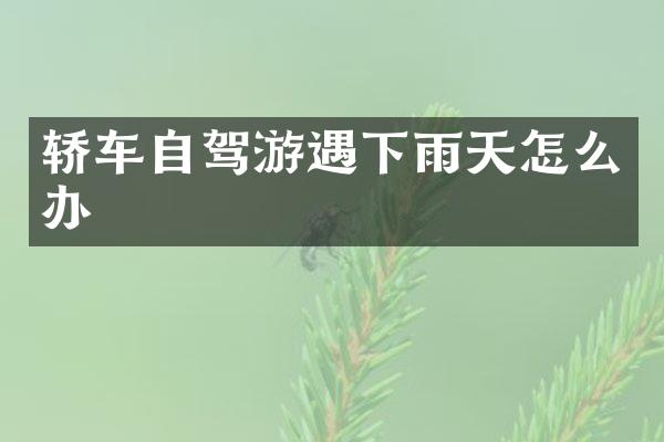 轿车自驾游遇下雨天怎么办