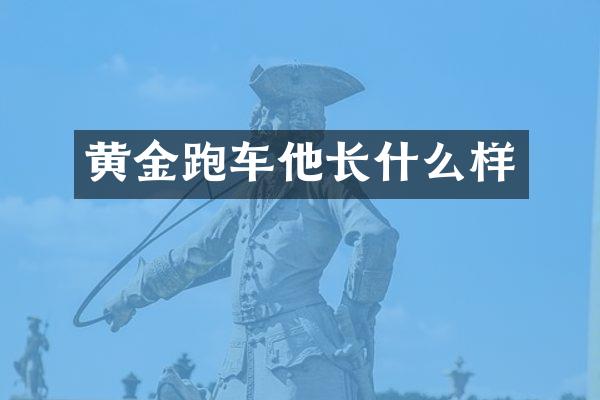 黄金跑车他长什么样