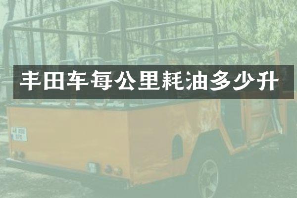 丰田车每公里耗油多少升