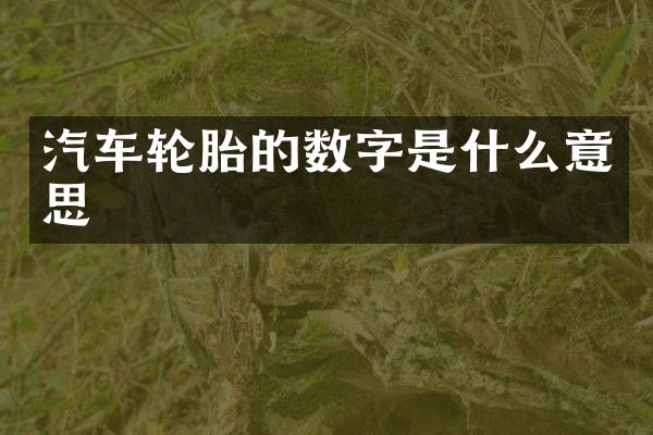 汽车轮胎的数字是什么意思
