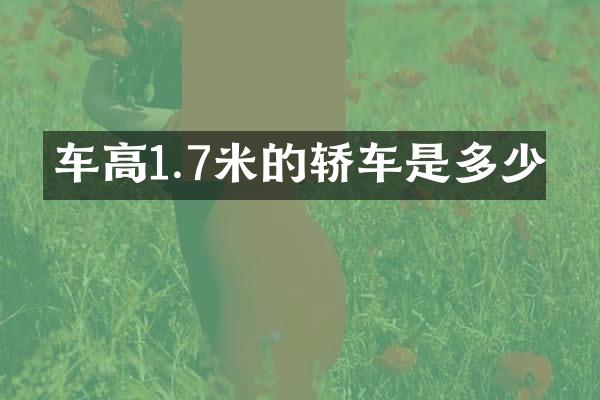 车高1.7米的轿车是多少