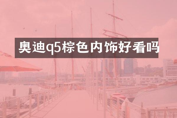 奥迪q5棕色内饰好看吗