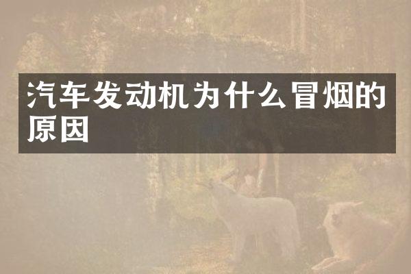 汽车发动机为什么冒烟的原因