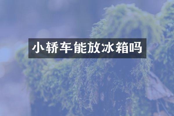 小轿车能放冰箱吗