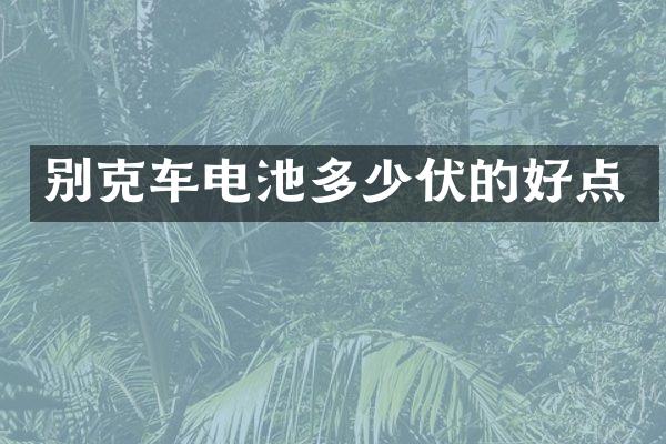 别克车电池多少伏的好点