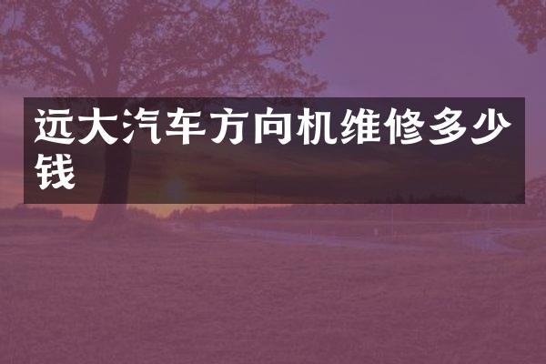远大汽车方向机维修多少钱