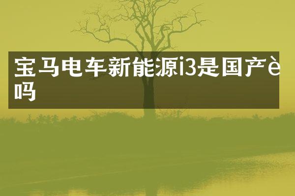 宝马电车新能源i3是国产车吗