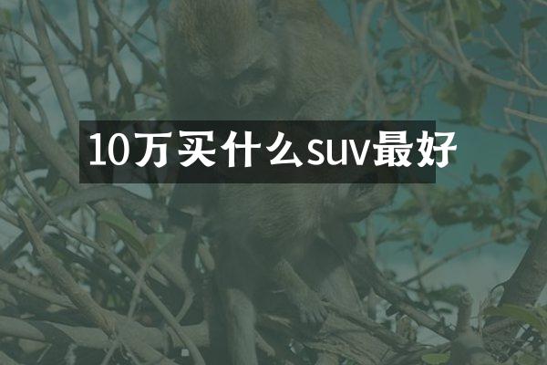 10万suv最好