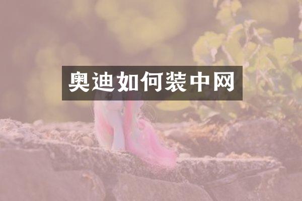 奥迪如何装中网