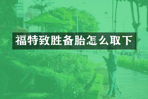 福特致胜备胎怎么取下