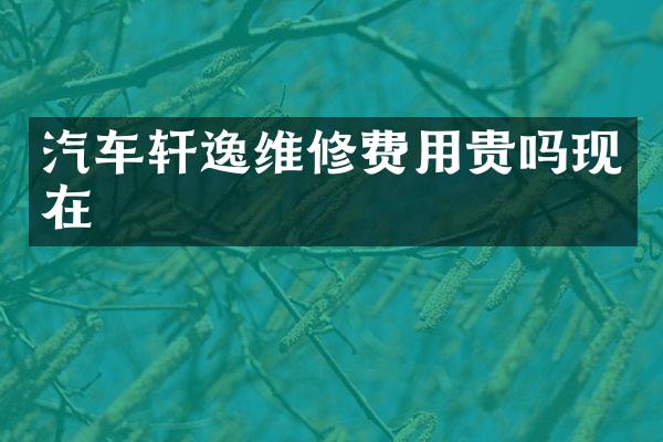 汽车轩逸维修费用贵吗现在