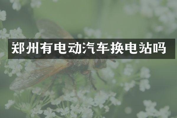 郑州有电动汽车换电站吗