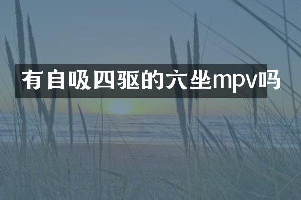 有自吸四驱的六坐mpv吗