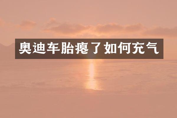 奥迪车胎瘪了如何充气