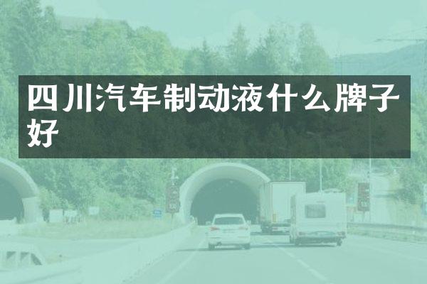 四川汽车制动液什么牌子好
