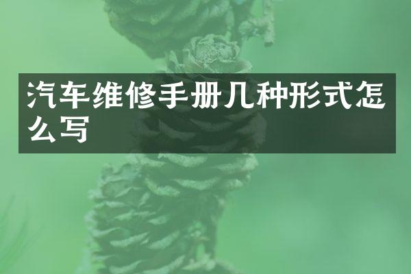 汽车维修手册几种形式怎么写