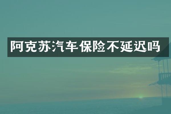 阿克苏汽车保险不延迟吗