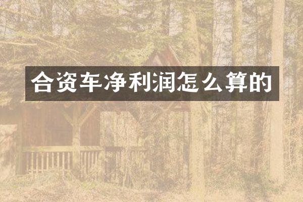 合资车净利润怎么算的
