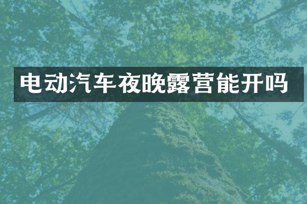 电动汽车夜晚露营能开吗