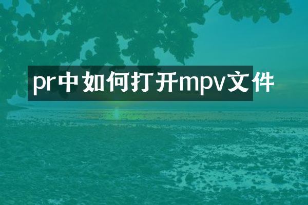 pr中如何打开mpv文件
