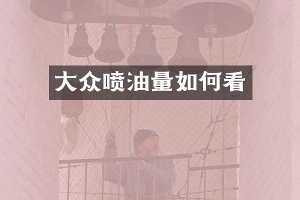 大众喷油量如何看