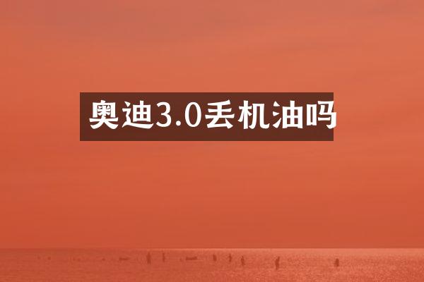 奥迪3.0丢机油吗