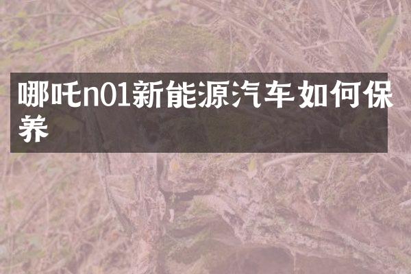 哪吒n01新能源汽车如何保养