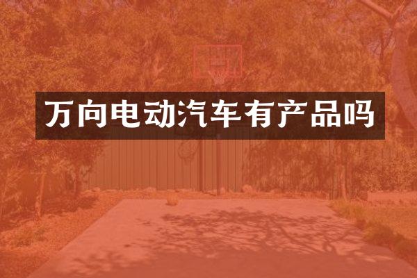 万向电动汽车有产品吗