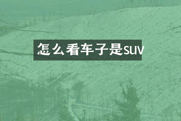 怎么看车子是suv