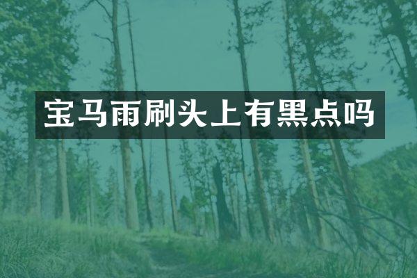 宝马雨刷头上有黑点吗