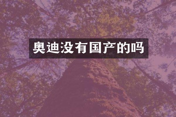 奥迪没有国产的吗