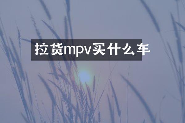 拉货mpv车