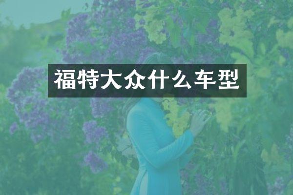 福特大众什么车型