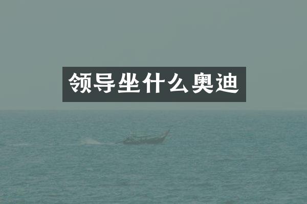 领导坐什么奥迪