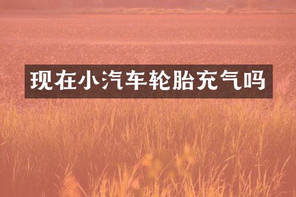 现在小汽车轮胎充气吗