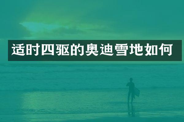 适时四驱的奥迪雪地如何