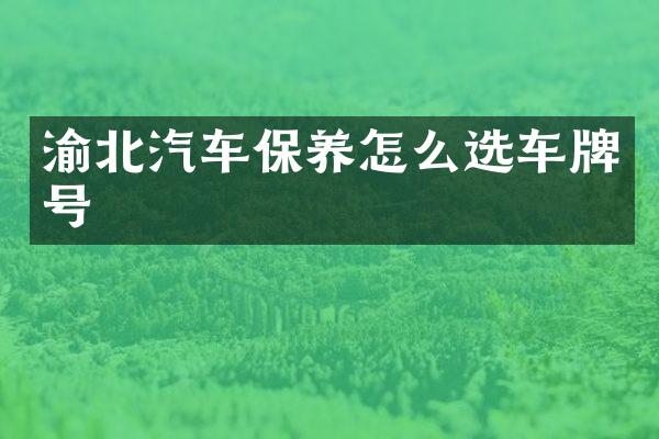 渝北汽车保养怎么选车牌号
