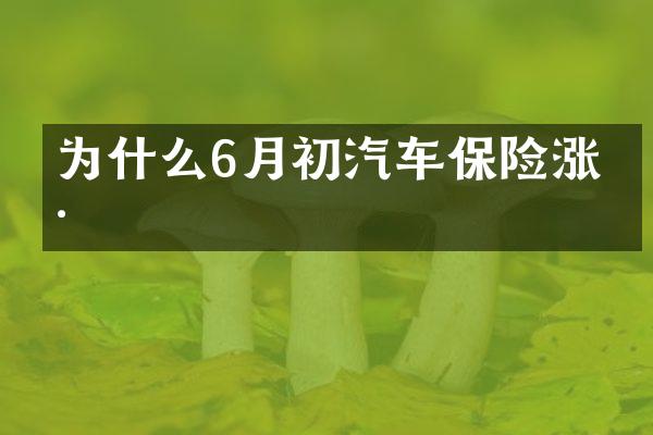 为什么6月初汽车保险涨价
